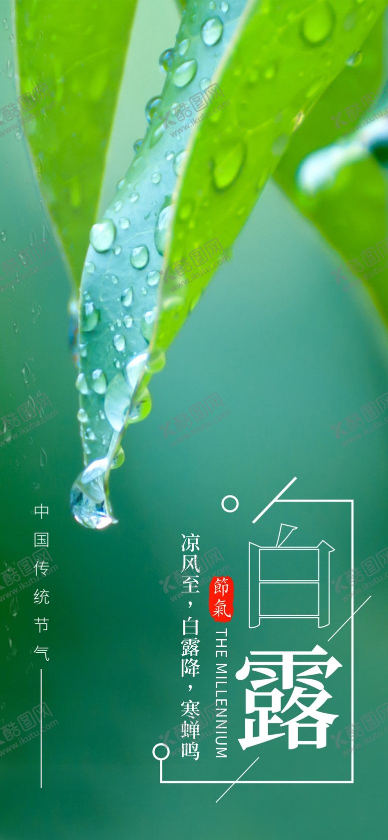 编号：73165406290415519595【酷图网】源文件下载-白露
