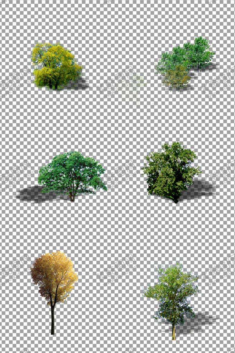 编号：54807610071638104114【酷图网】源文件下载-绿色树木