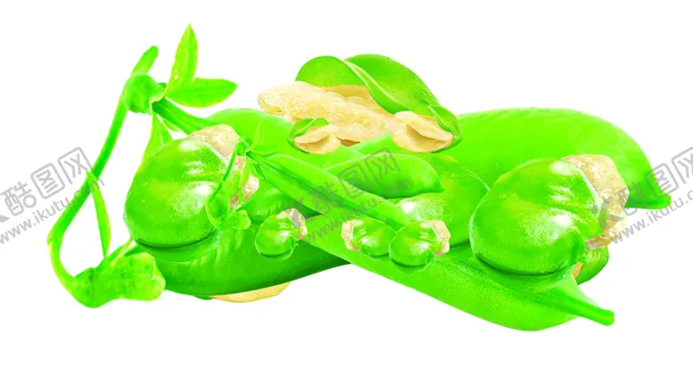 编号：49454410050420442773【酷图网】源文件下载-蚕豆