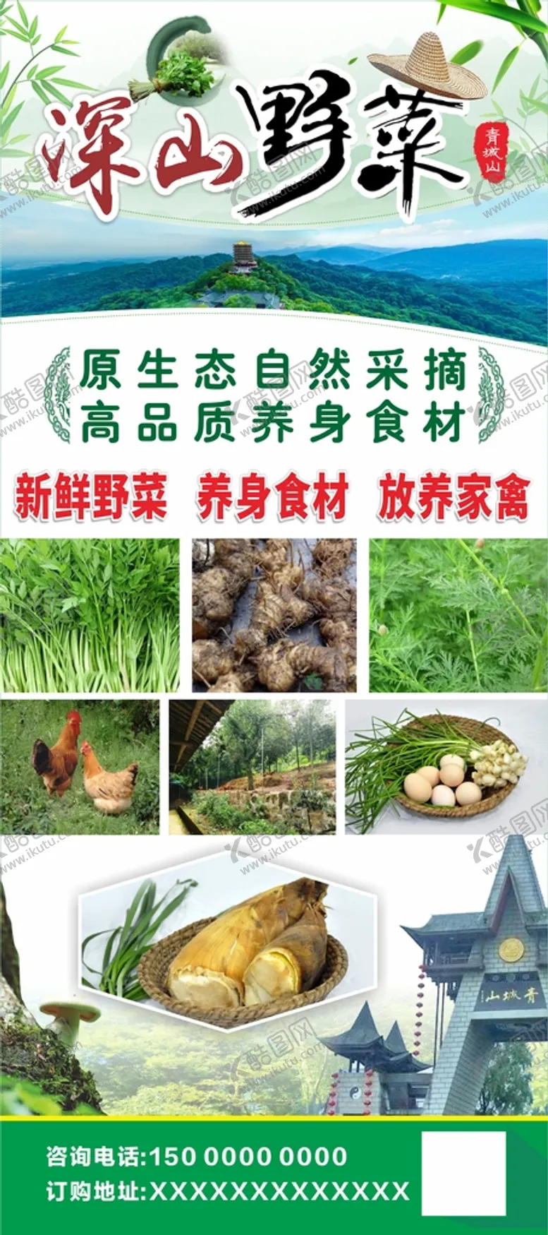 编号：87546010201958224435【酷图网】源文件下载-野菜海报