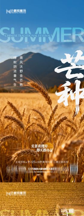 芒种二十四节气节日海报麦芒麦田