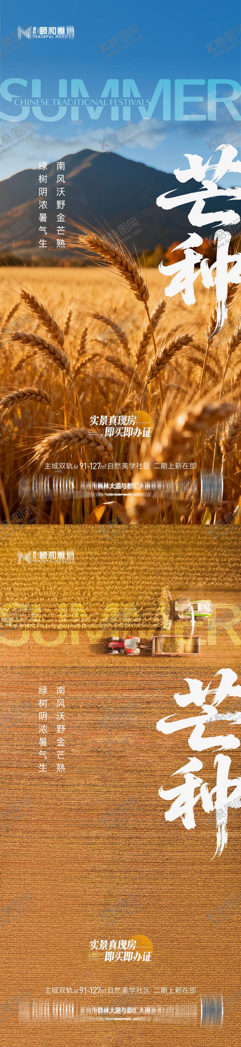 编号：97793105250130518052【酷图网】源文件下载-芒种二十四节气节日海报麦芒麦田