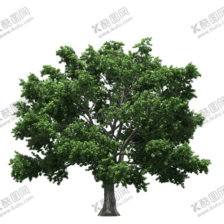 编号：95822006241835064674【酷图网】源文件下载-景观树