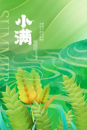 小暑 节气 夏天