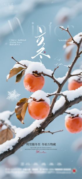 立冬大雪节气海报