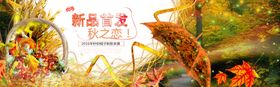 新品首发倒计时