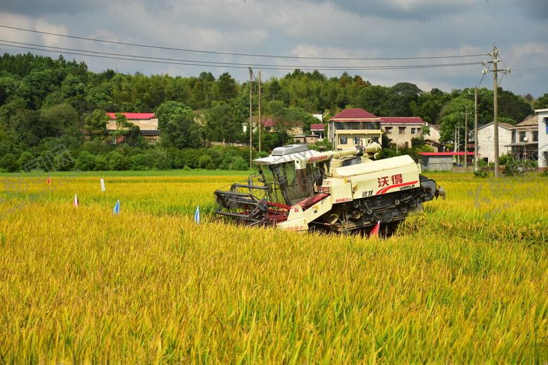编号：46661406170630514720【酷图网】源文件下载-秋天的田野