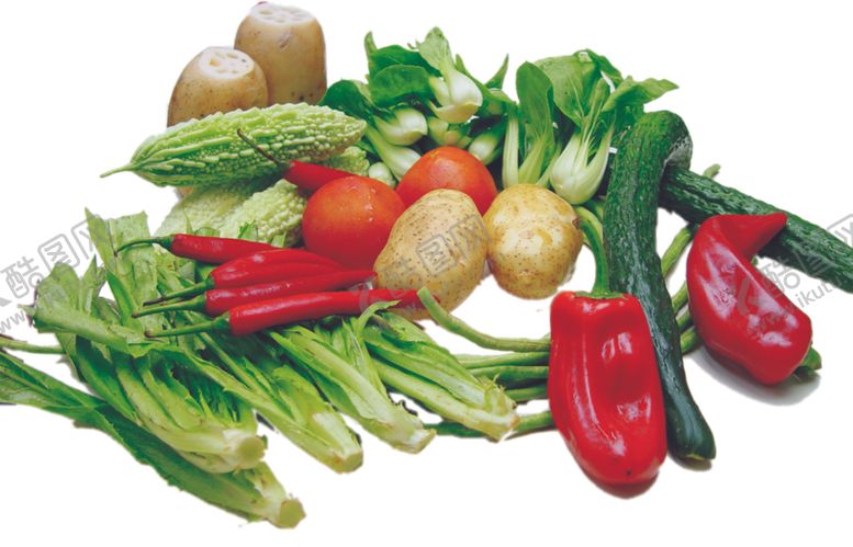 编号：48047909122042591586【酷图网】源文件下载-家常菜美食