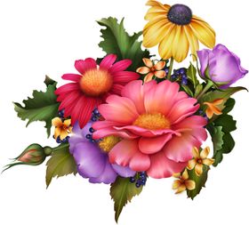 花卉