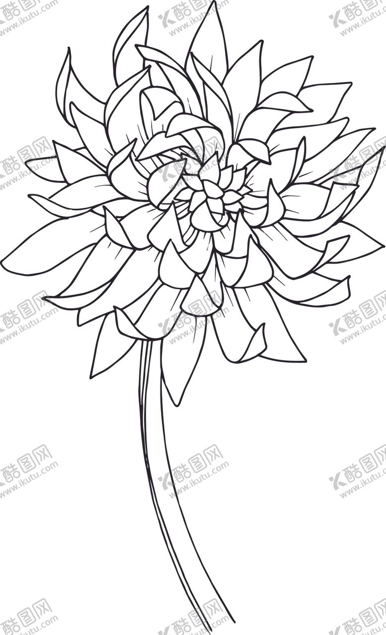 编号：79381412101741055012【酷图网】源文件下载-白描植物