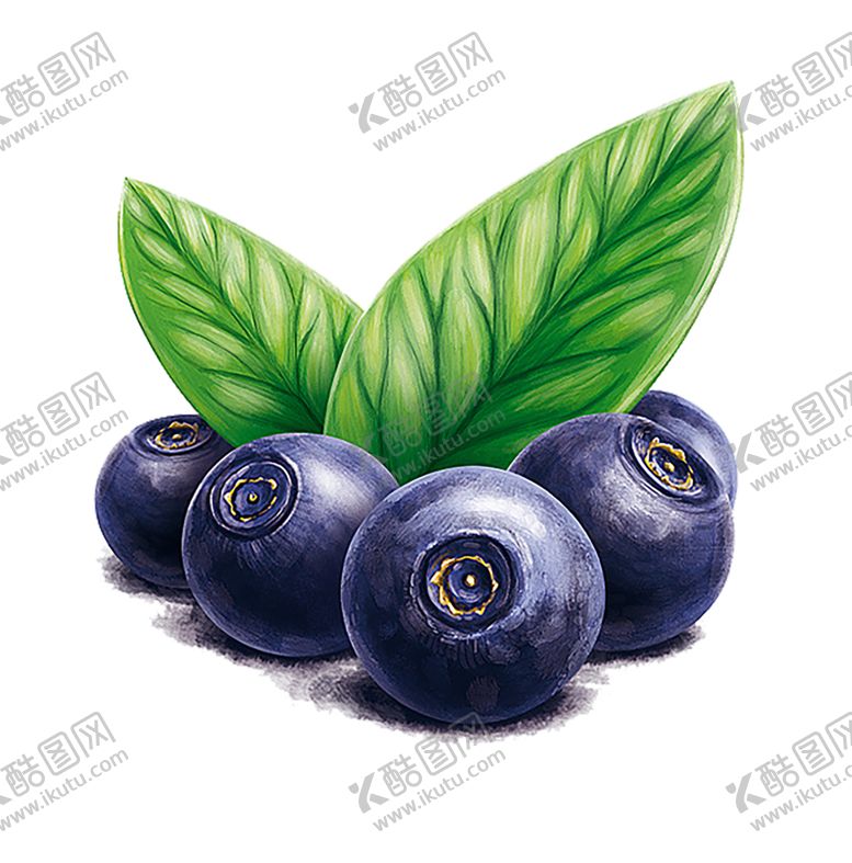 编号：33612707141321374805【酷图网】源文件下载-水果