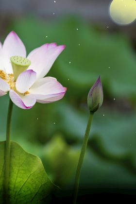 二十四节气  夏