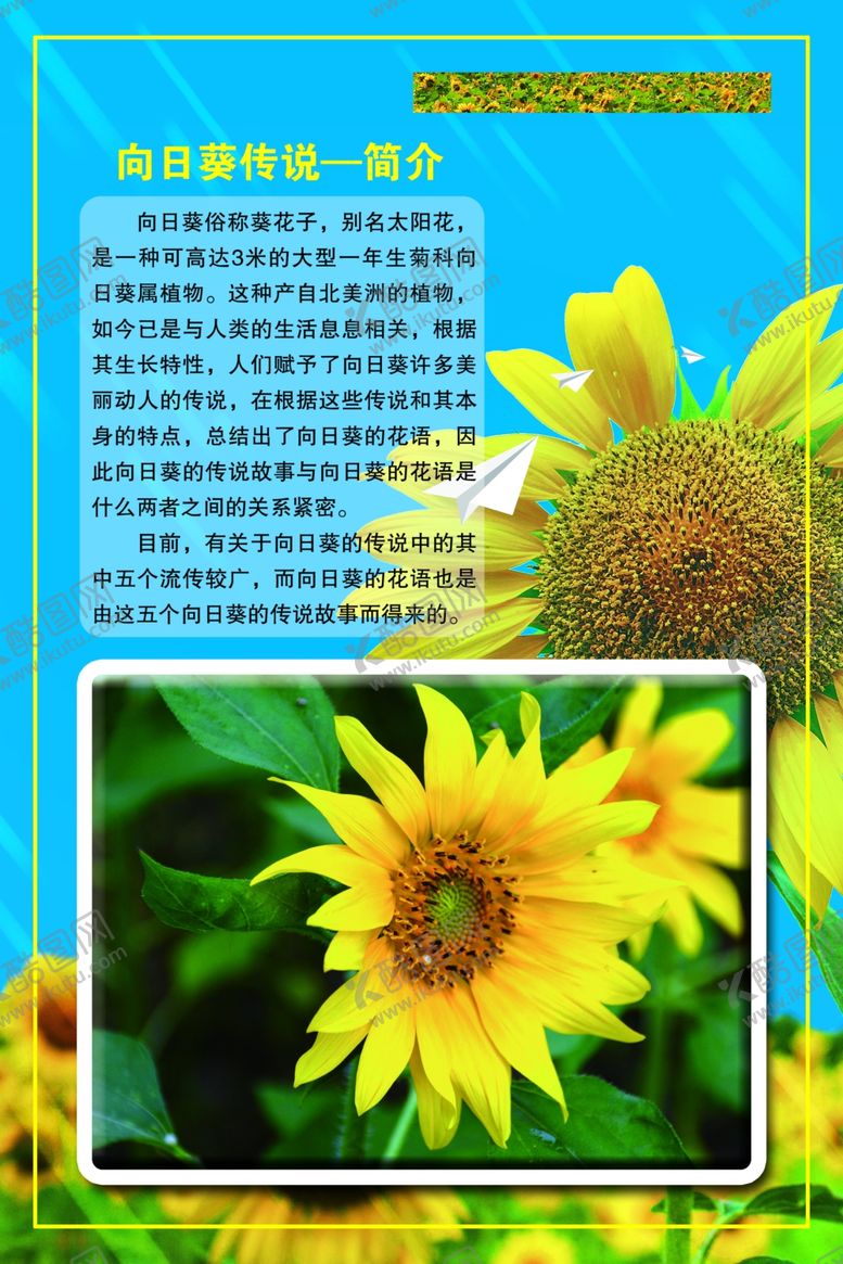 编号：69954609212134174873【酷图网】源文件下载-向日葵传说简介