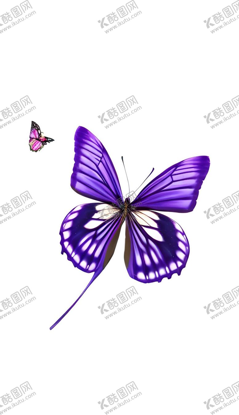 编号：39160912020121238417【酷图网】源文件下载-蝴蝶昆虫蝶舞飞蝶动物翅膀飞翔