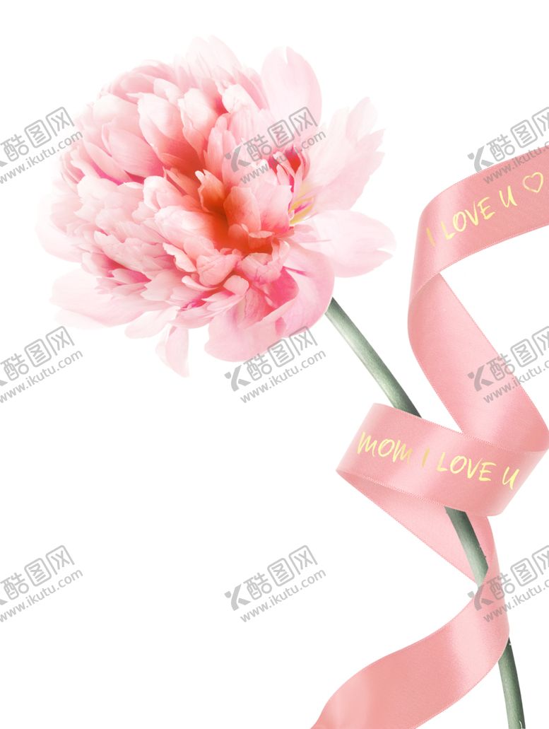 编号：81865709190105268157【酷图网】源文件下载-花朵