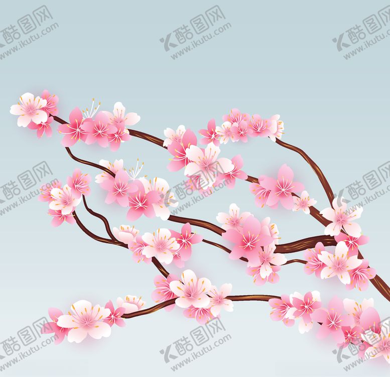 编号：11564309210818198851【酷图网】源文件下载-樱花