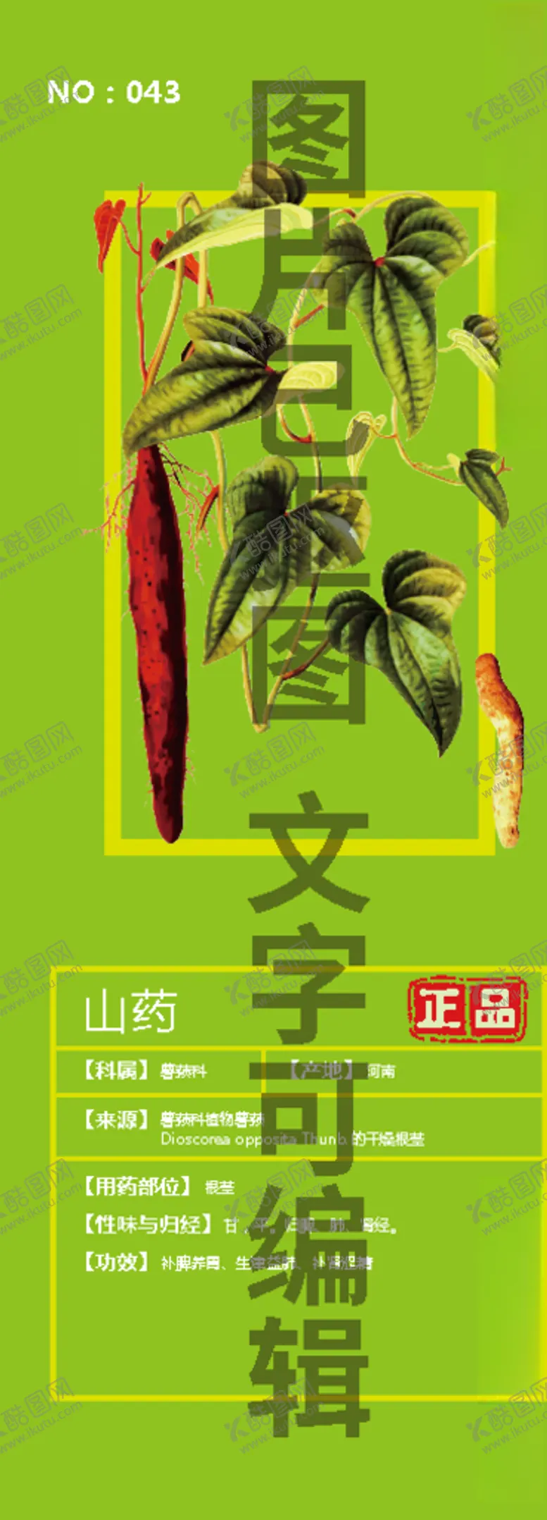 编号：59246504070806102472【酷图网】源文件下载-山药
