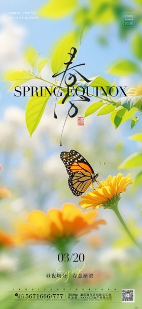 春分实景节气海报