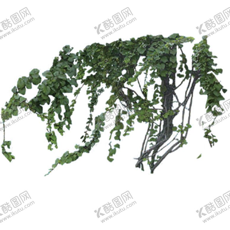 编号：55993607091527336731【酷图网】源文件下载-绿色相框