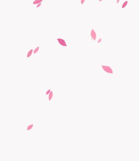 花瓣