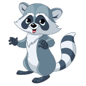浣熊