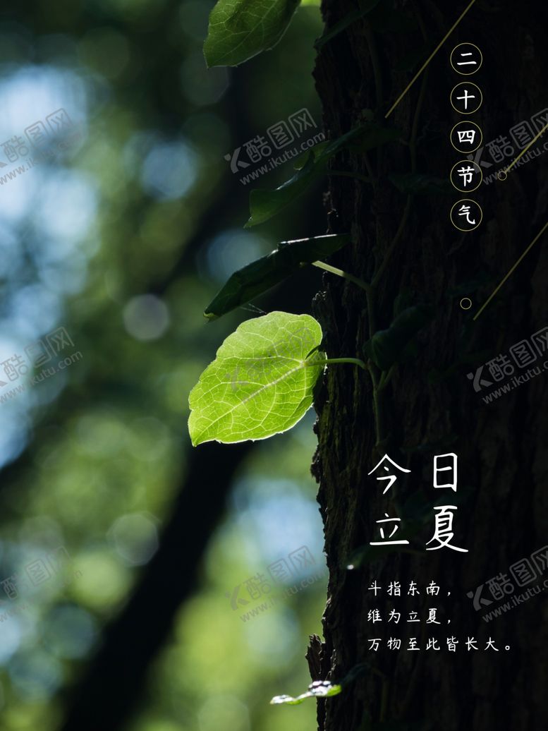 编号：12580206241948072914【酷图网】源文件下载-今日立夏
