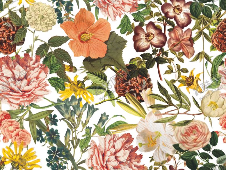 编号：29978709221013142170【酷图网】源文件下载-玫瑰花