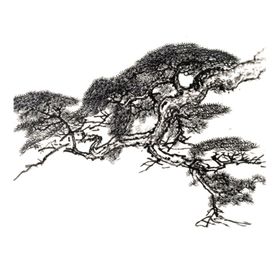 水墨中国风迎客松