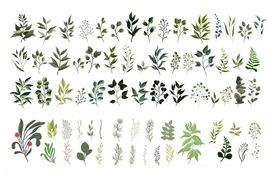 绿色植物矢量素材