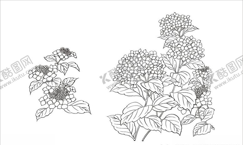编号：37093310261305347629【酷图网】源文件下载-紫阳花
