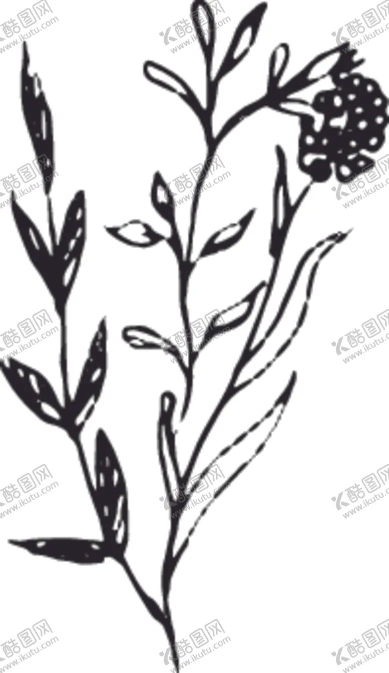 编号：75778806241518052744【酷图网】源文件下载-手绘花卉元素