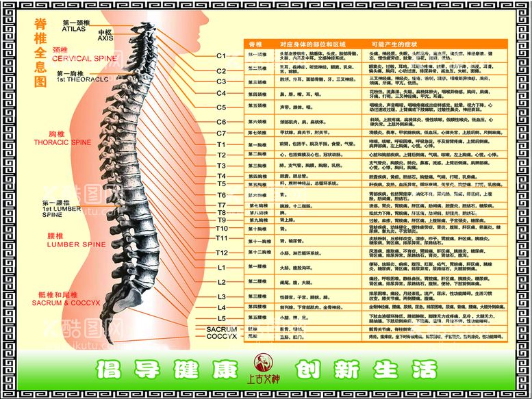 编号：38609209200927115178【酷图网】源文件下载-脊椎全息图