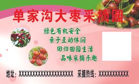 枣采摘园