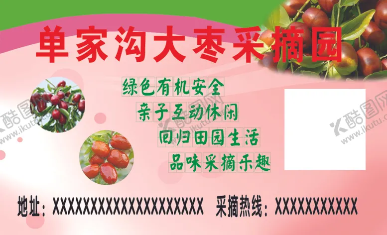 编号：12116707040644239252【酷图网】源文件下载-枣采摘园