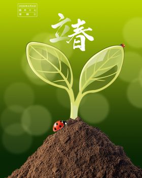 春之萌芽生机初绽立春