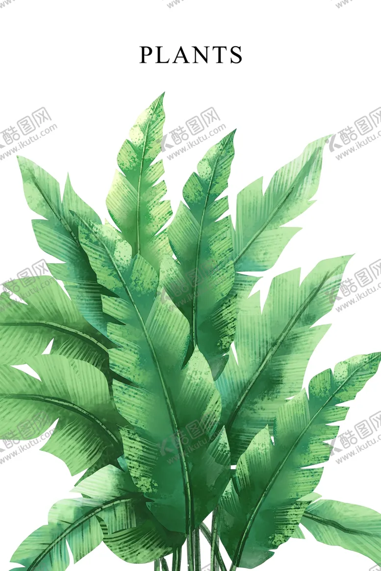 编号：15617706242157087545【酷图网】源文件下载-植物装饰画图片