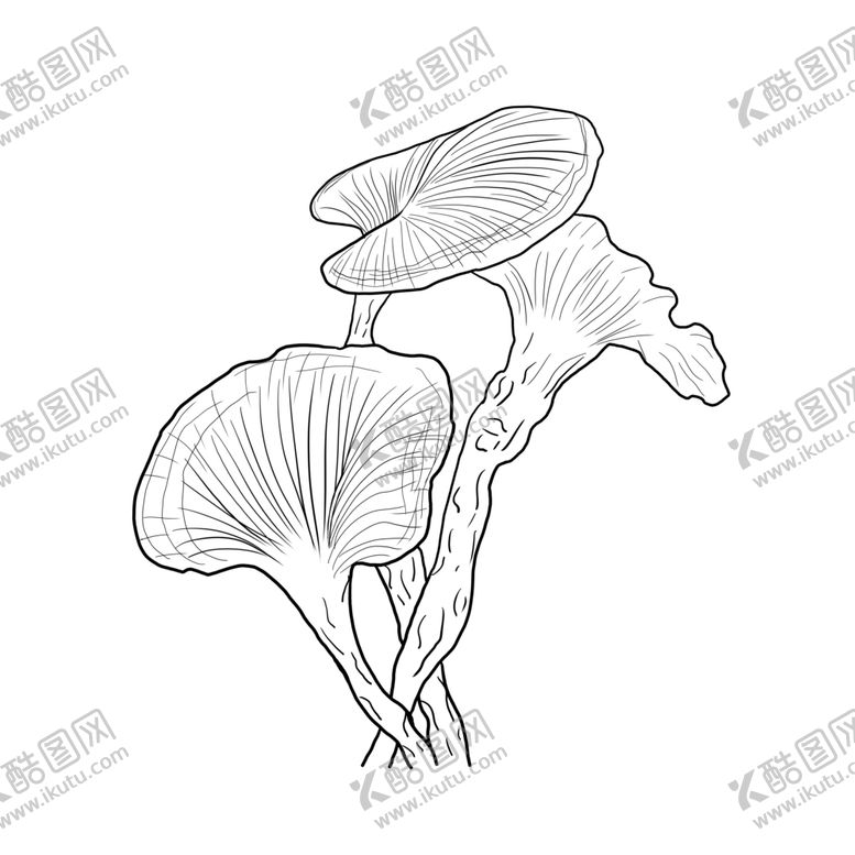 编号：87737105050235195140【酷图网】源文件下载-灵芝