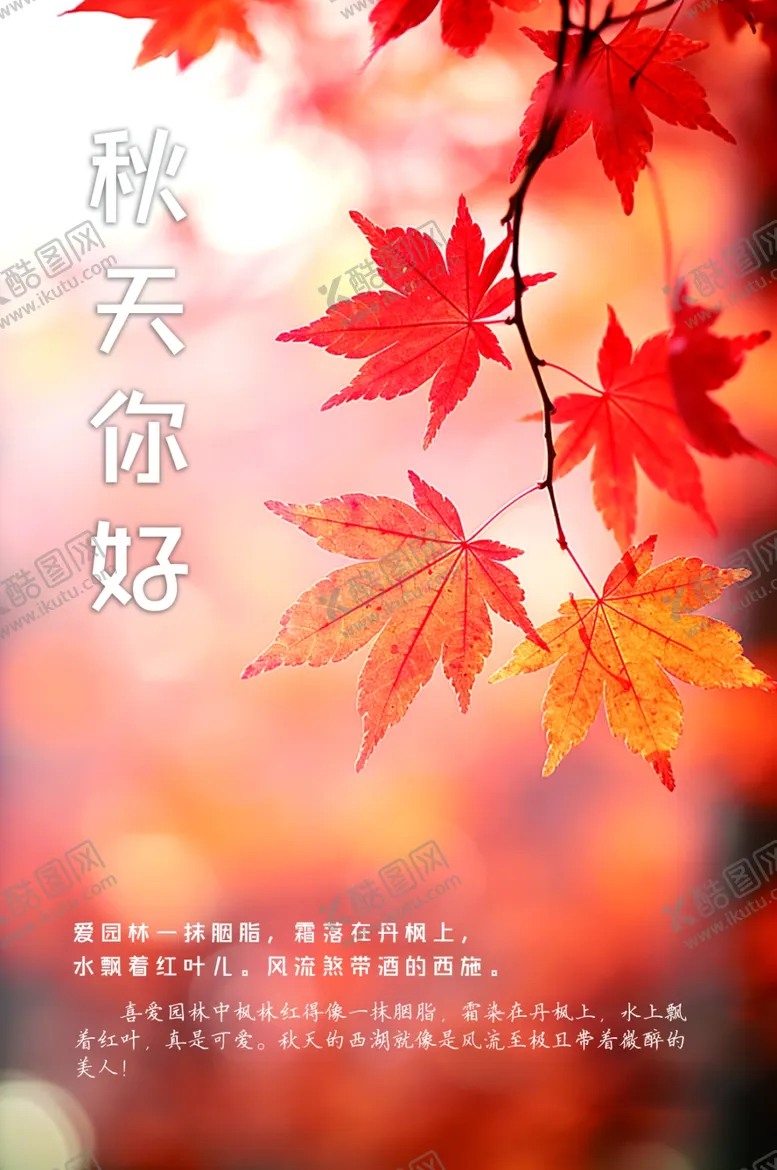 编号：43870002201836386163【酷图网】源文件下载-秋天你好