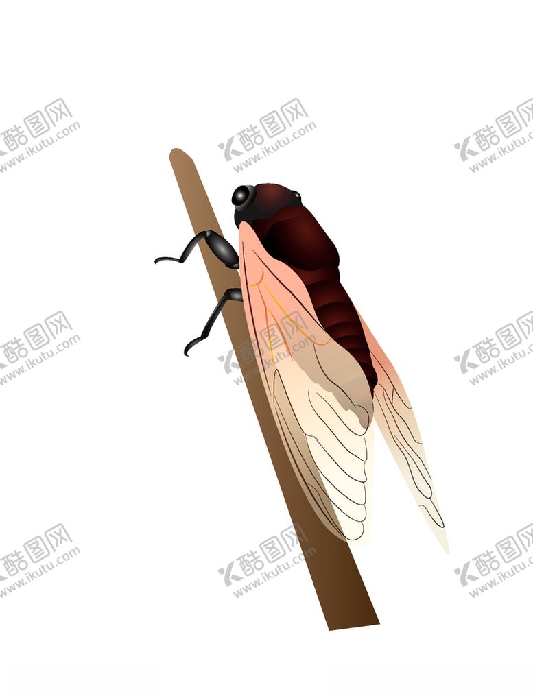 编号：58249604282232379060【酷图网】源文件下载-卡通夏日知了蝉手绘插画
