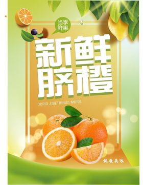 脐橙海报