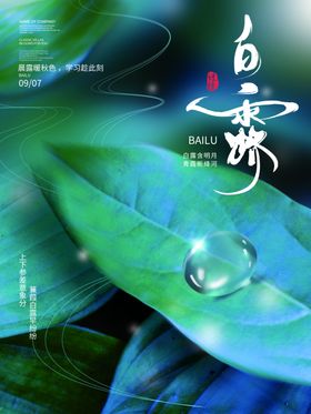 白露宣传蒹葭苍苍海报水雾