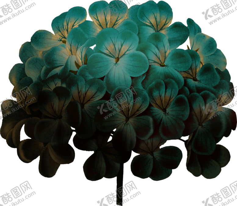 编号：95333410151826539195【酷图网】源文件下载-暗黑风植物花朵