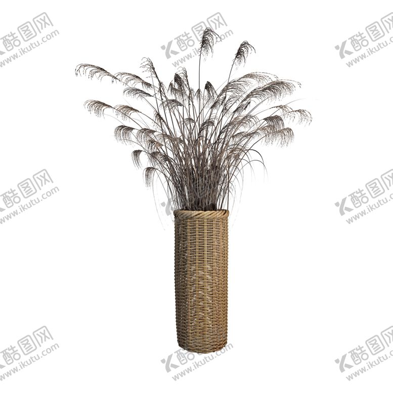 编号：96893810150914164602【酷图网】源文件下载-免抠背景干花枯花