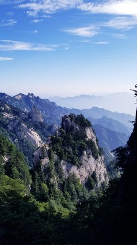 春天爬山绿树松树蓝天