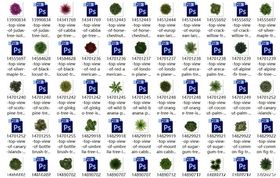 真实总平面植物PSD素材