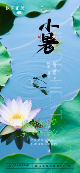 小暑节气海报