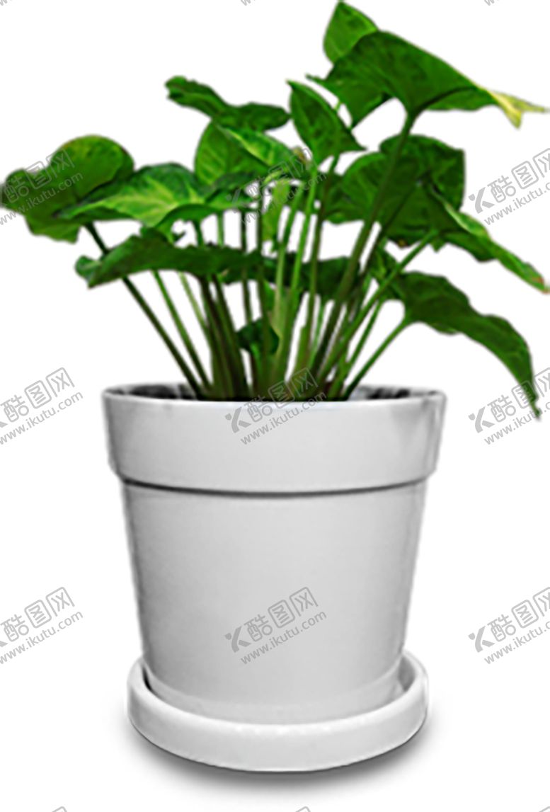 编号：40246910260841171520【酷图网】源文件下载-绿色相框