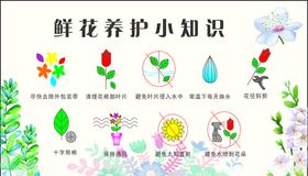 花草养护知识卡片