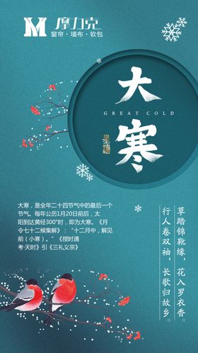 大寒冬天雪花寒冷腊月