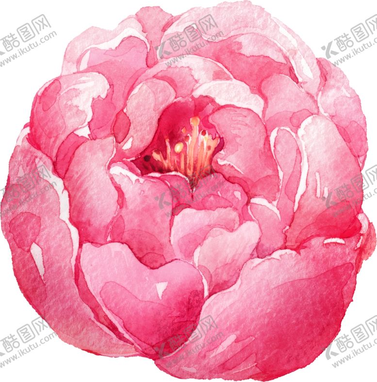 编号：96379210180220101676【酷图网】源文件下载-牡丹花